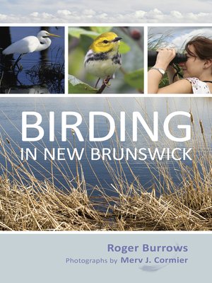 cover image of Birding in New Brunswick